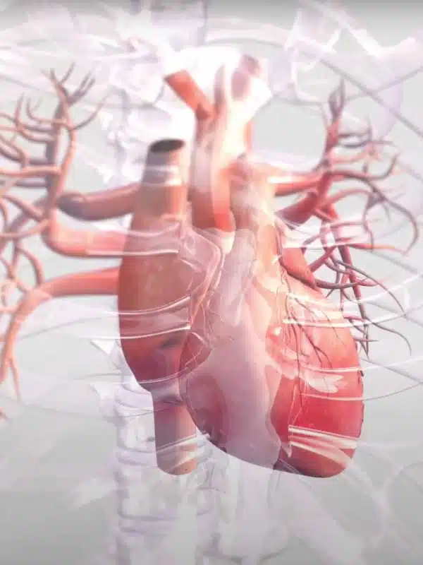 Heart health by Natural Products Australia Heart health by Natural Products Australia